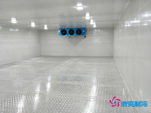 建造100平米-60℃存儲金槍魚的超低溫冷庫造價多少錢？