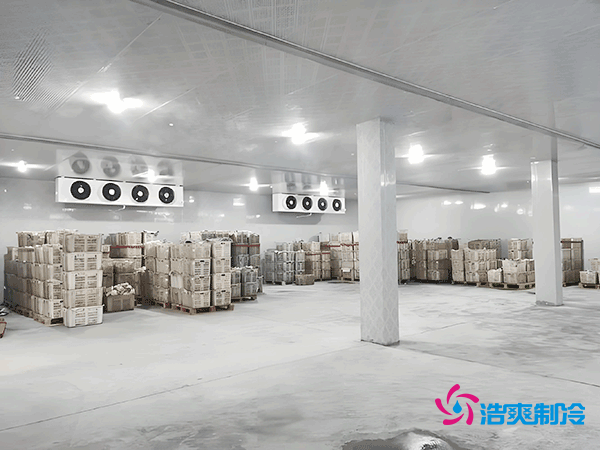 低溫冷凍庫造價指南，如何精準(zhǔn)預(yù)算冷凍庫建造成本？