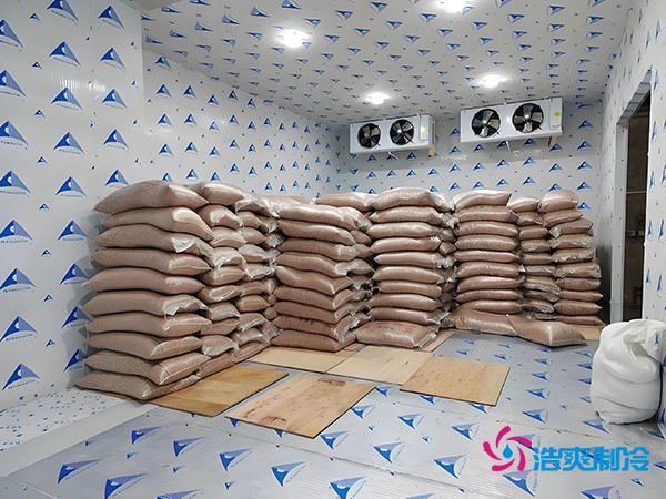 2萬起建種子冷庫？這些因素讓造價翻倍！