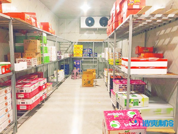 5噸水果需要多大冷庫(kù)？答案出乎意料！