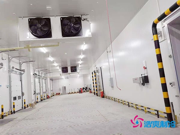建設(shè)冷凍庫(kù)每平米造價(jià)多少錢？冷凍庫(kù)造價(jià)關(guān)鍵因素解析